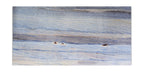 Coastal Ice