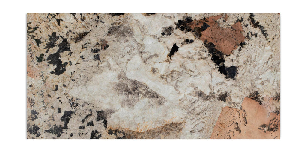 Desert Root