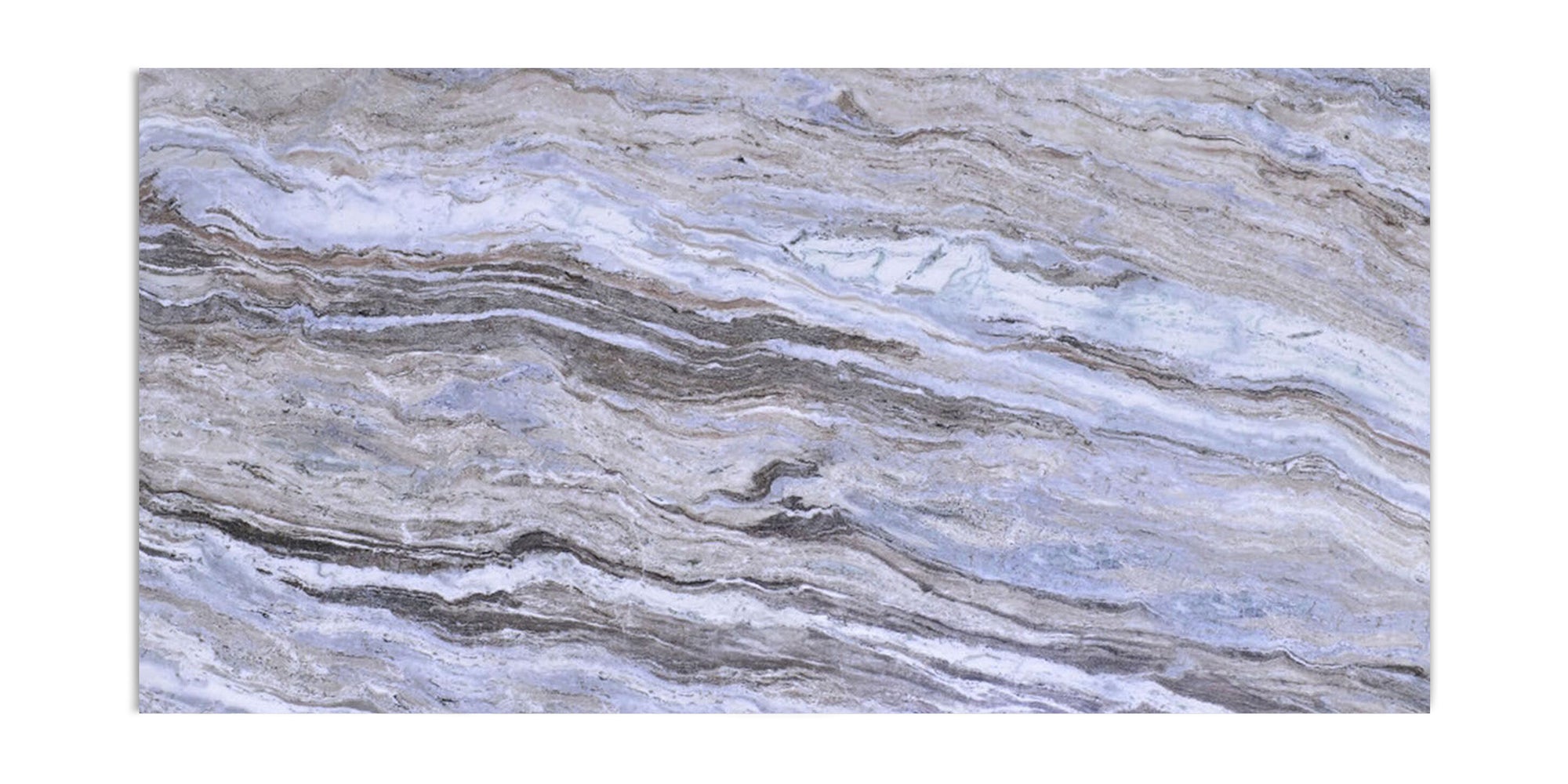 Fossil Vein