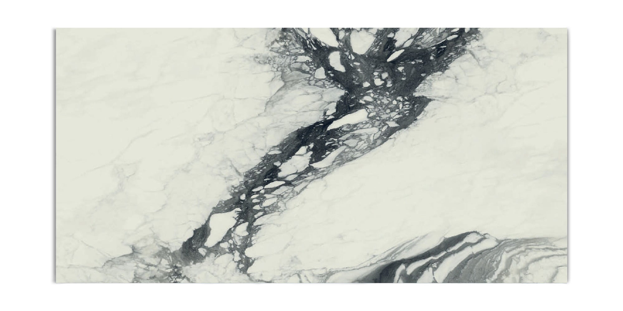 Ivory Ink