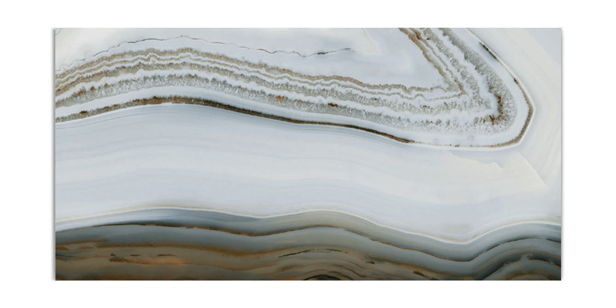 Terra Ivory