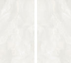 White Snow