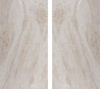 Taj Mahal Polished