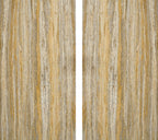 Desert Lines