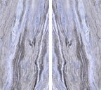 Fossil Vein