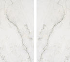 Ivory Trace