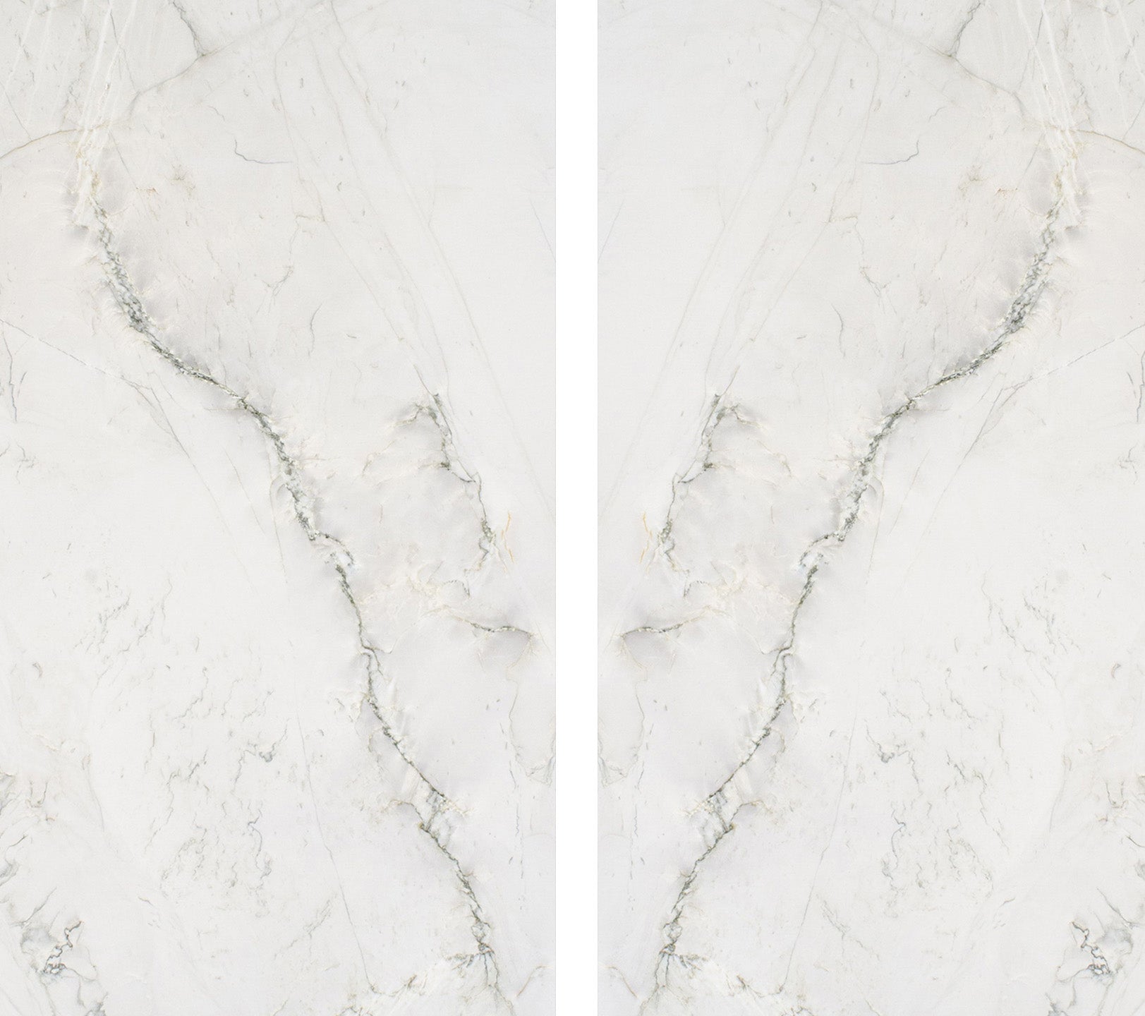 Ivory Trace