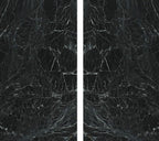 Nero Spiderweb