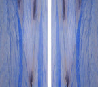 Sapphire Shore