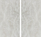 Taj Mahal Premium