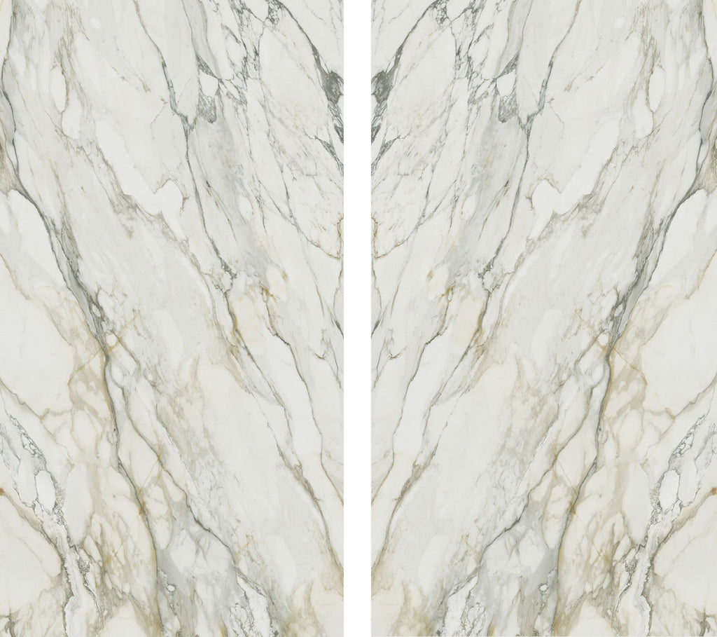 White Trace