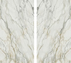 White Trace