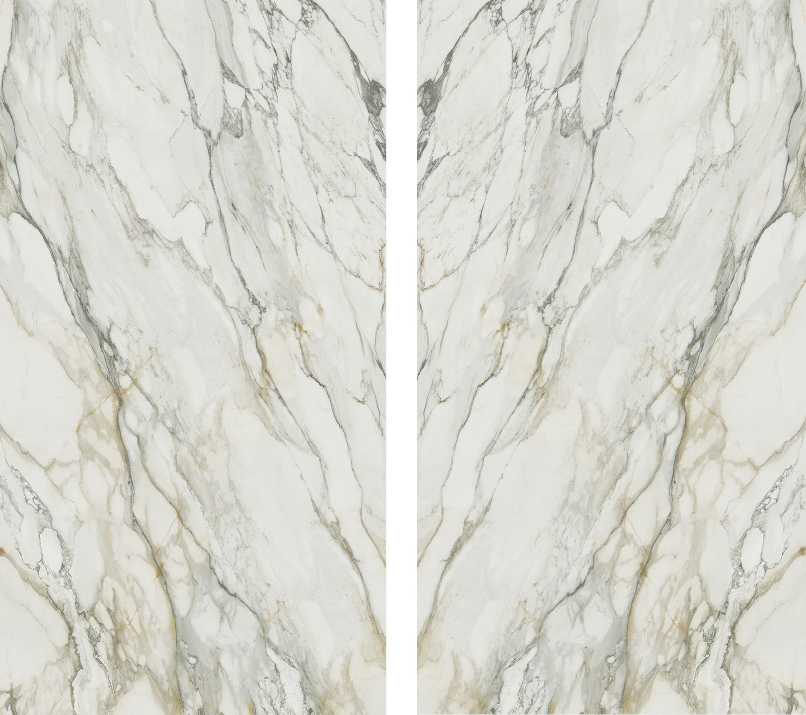 White Trace