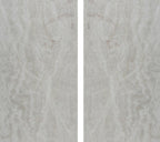 Taj Mahal Leather